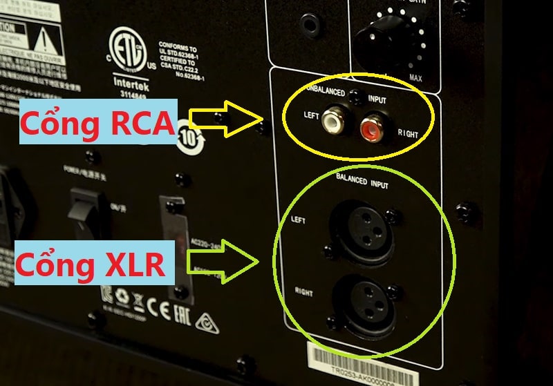 JBL HDI 1200P đáp ứng cả hai loại kết nối là RCA phía trên và XLR phía dưới