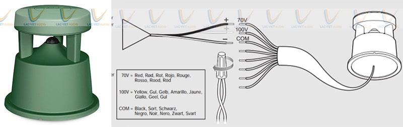Xác định dây loa nối với các cực âm và dương